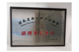 2009年湖南省新资料产业协会副理事长单元