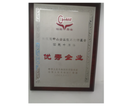 2009年获科技型中幼企业技术创新基金执行十周年“优良企业”