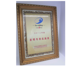 2012年2012年度发现专利执行奖